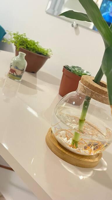Apartamento No Andar Terreo Foz do Iguacu Luaran gambar