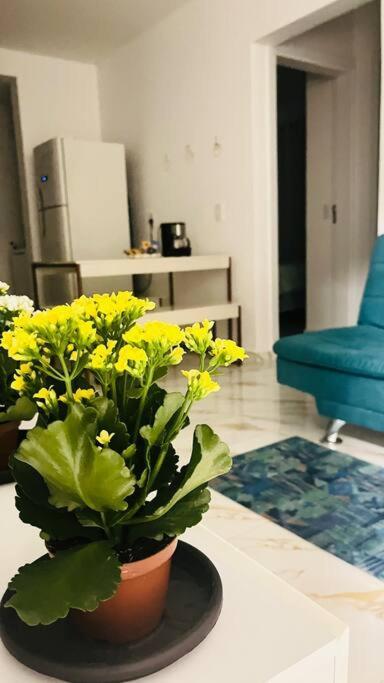 Apartamento No Andar Terreo Foz do Iguacu Luaran gambar